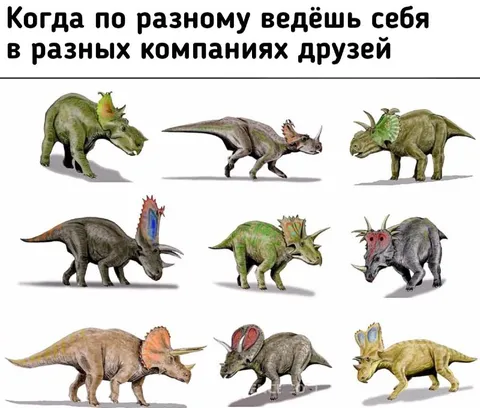 Разный ты в разных компаниях