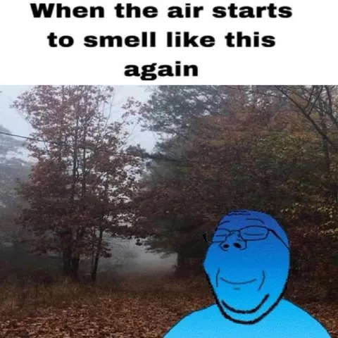 When the Air Smells Like This