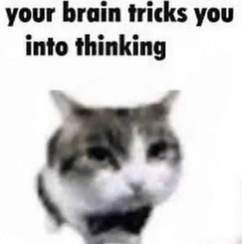 Your Brain Tricks You