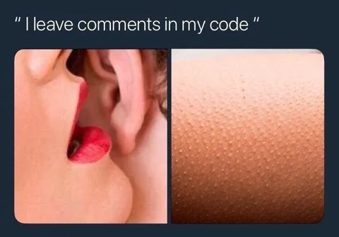 I Leave Comments in My Code