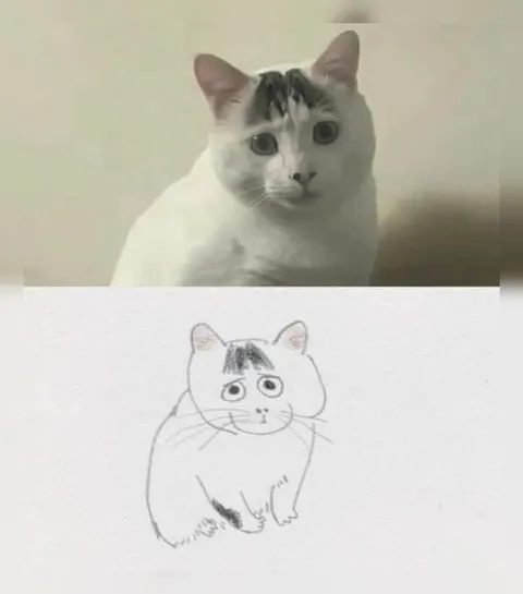 Кот и его рисунок