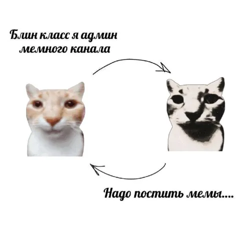 Админ мемного канала