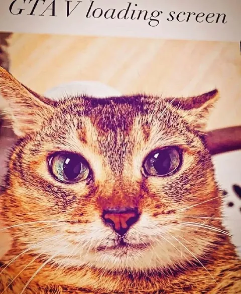 Cat GTA V Loading Screen