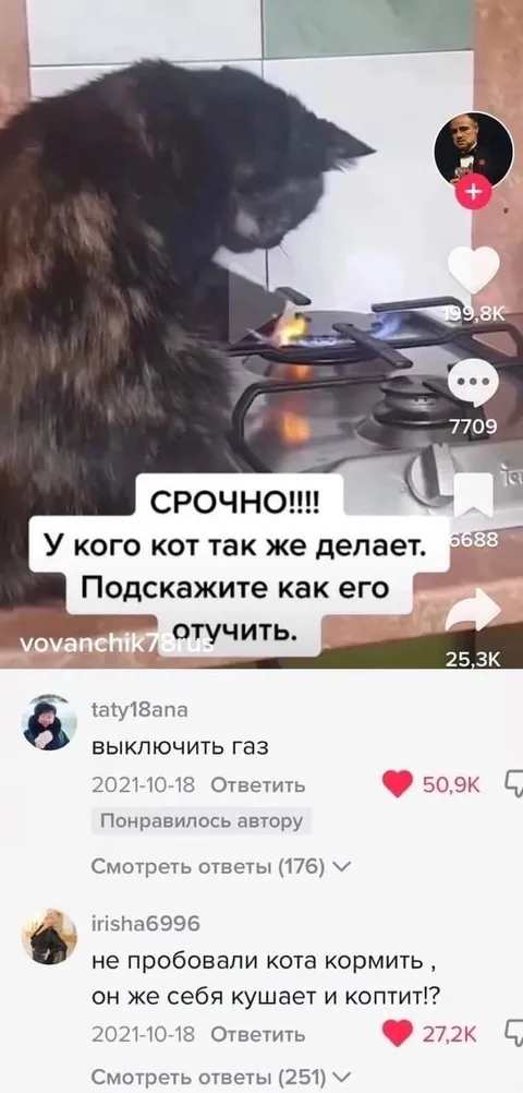 Кот жарит себя на газу