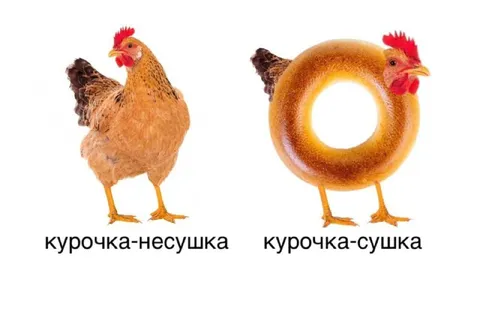 Курочка-несушка и курочка-сушка