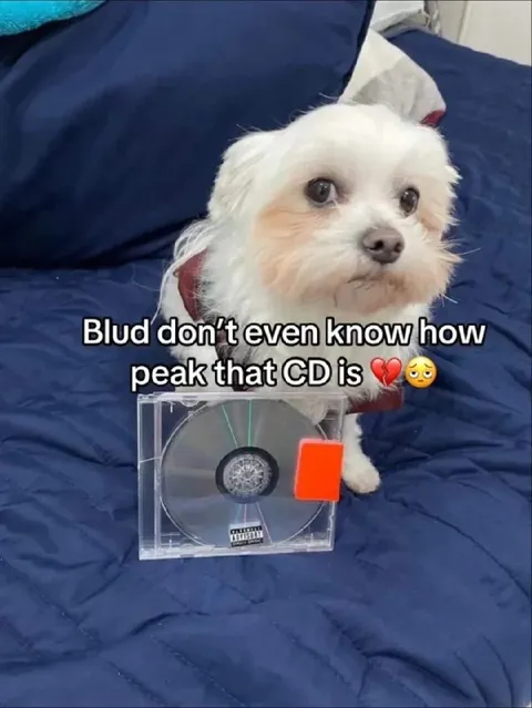 Blud Doesn’t Know How Peak This CD Is