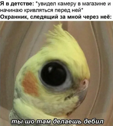 Охранник следит через камеру