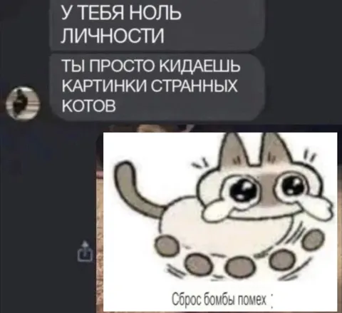Картинки странных котов