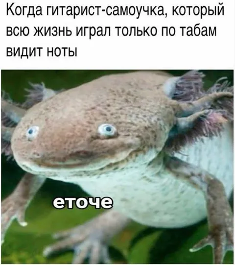Гитарист видит ноты