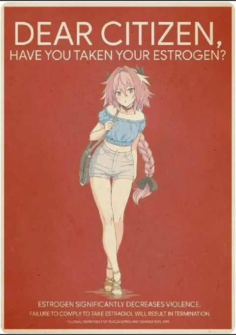 Dear Citizen Estrogen Poster