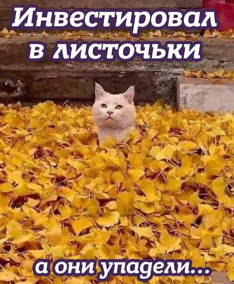 Инвестировал в листву