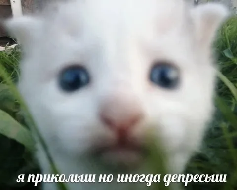 Приколыш, но иногда депрессия