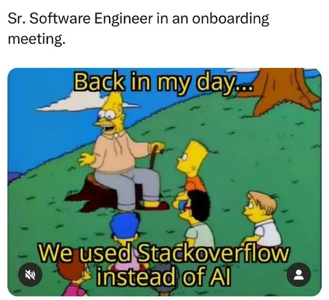 Senior Engineer Stack Overflow Story