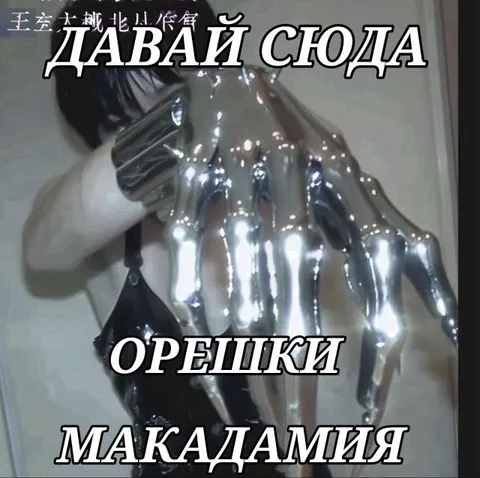 Давай сюда орешки макадамия