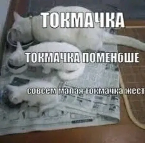 Токмачка, токмачка поменюше