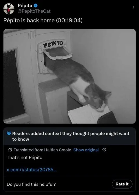 Pépito Is Back Home