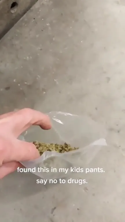 Found This in My Kid's Pants