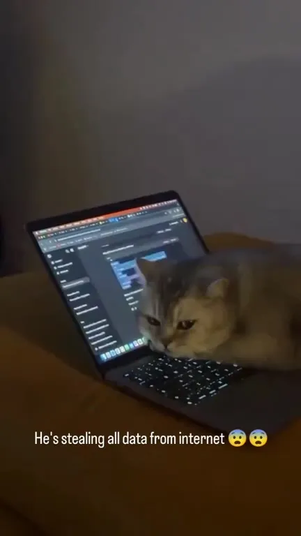 Cat Stealing Internet Data