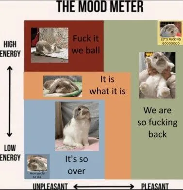 The Mood Meter Cats