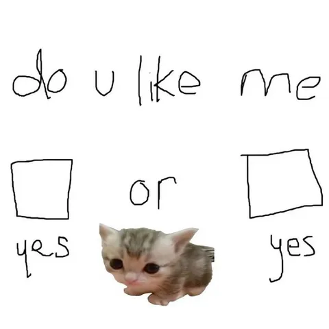 Do You Like Me Yes or Yes