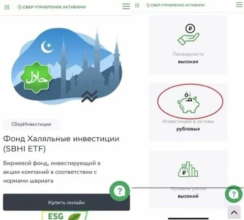 Халяльные инвестиции с высоким риском