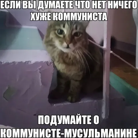 Коммунист-мусульманин