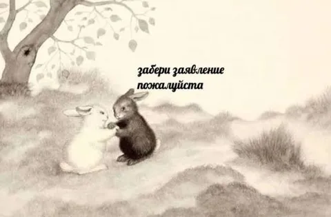 Забери заявление пожалуйста