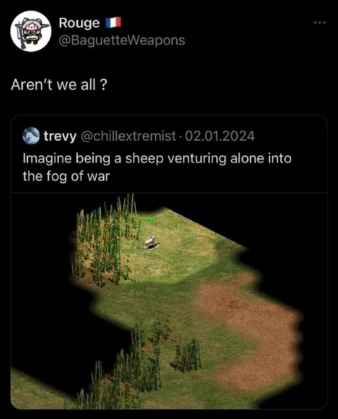 Sheep Alone in the Fog of War