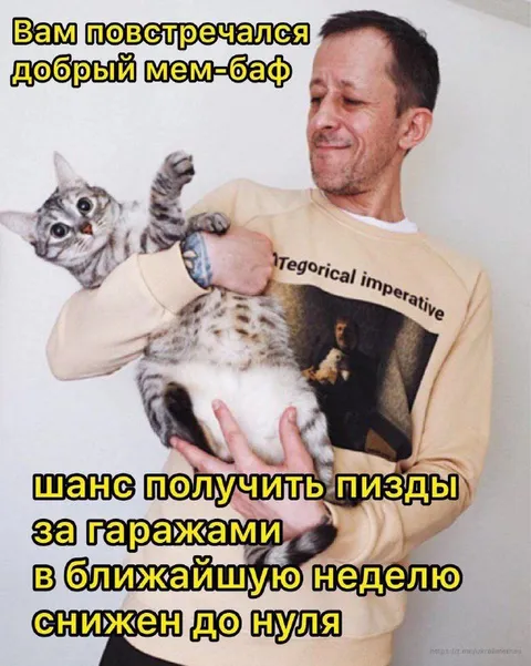 Добрый мем-баф с котом
