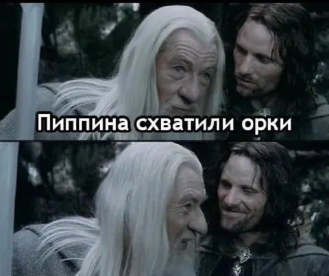 Пиппина схватили орки