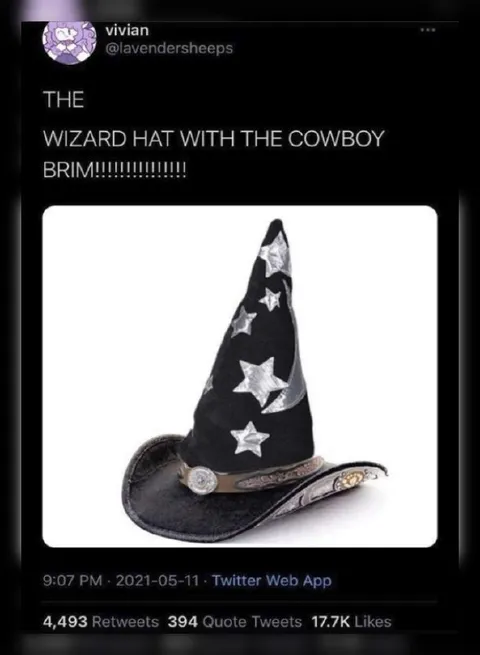Wizard Hat With Cowboy Brim