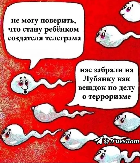 Создатели телеграма на Лубянке