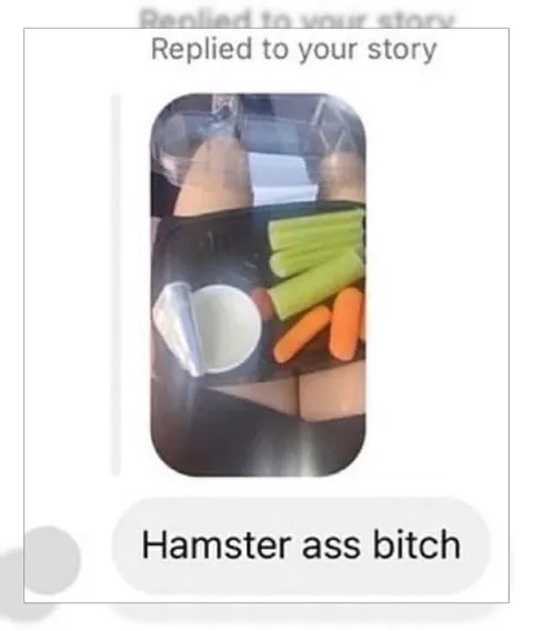 Hamster Ass Bitch Reply