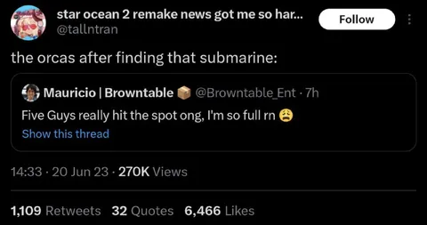 Orcas Find the Submarine