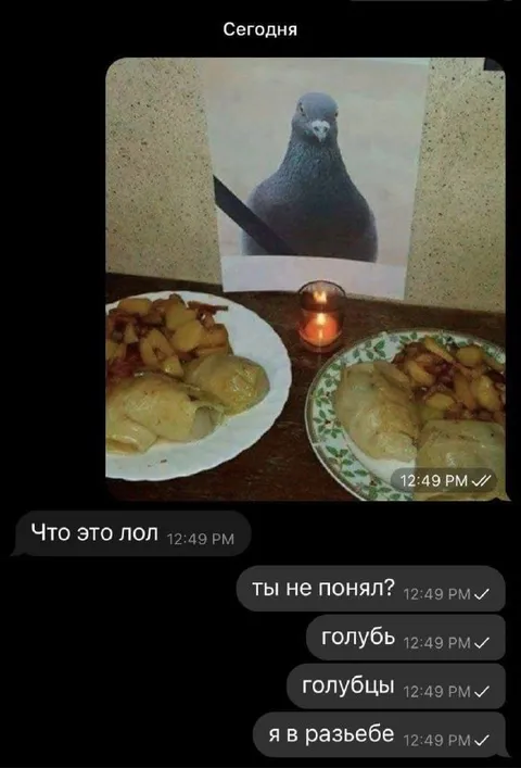 Голубь и голубцы