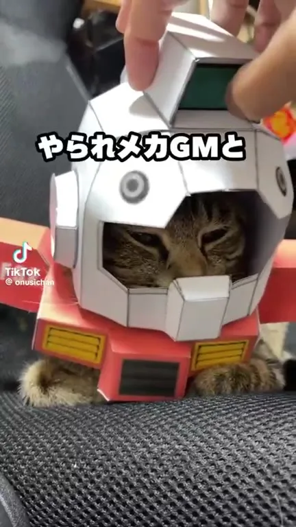 猫がGMとシャアザクに変身