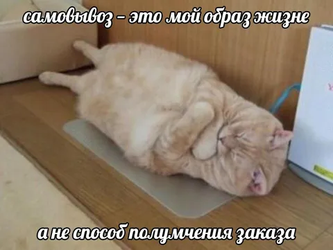 Самовывоз — образ жизни