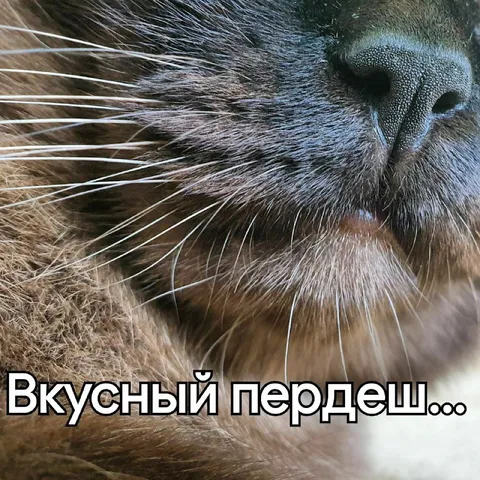Вкусный пердешь
