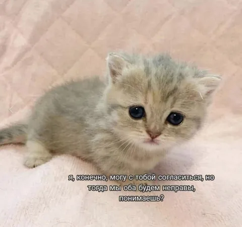 Могу согласиться, но мы оба неправы