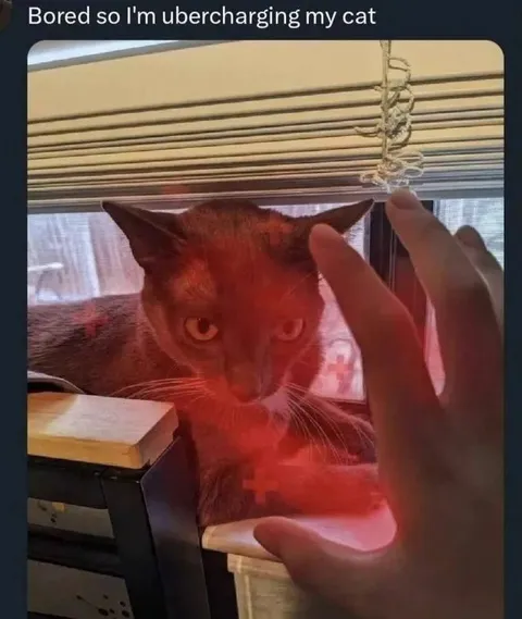 Ubercharging My Cat