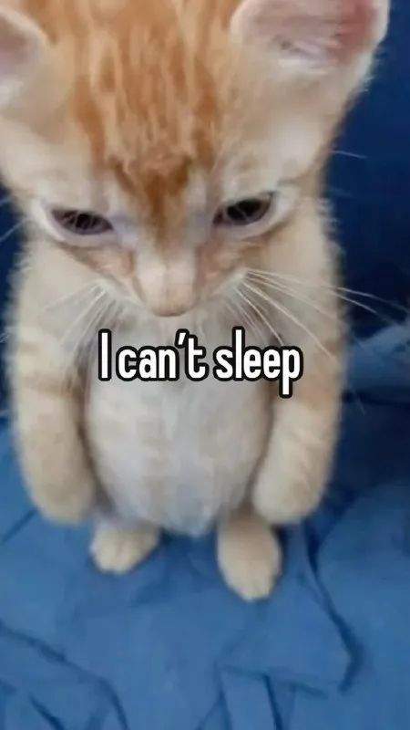 I can’t sleep kitten