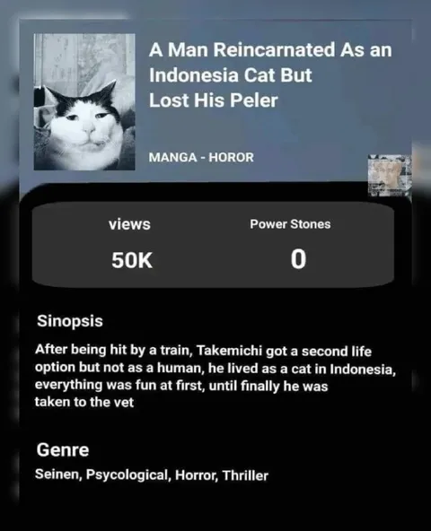 A Man Reincarnated as an Indonesia Cat