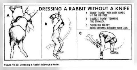 Dressing a Rabbit Without a Knife