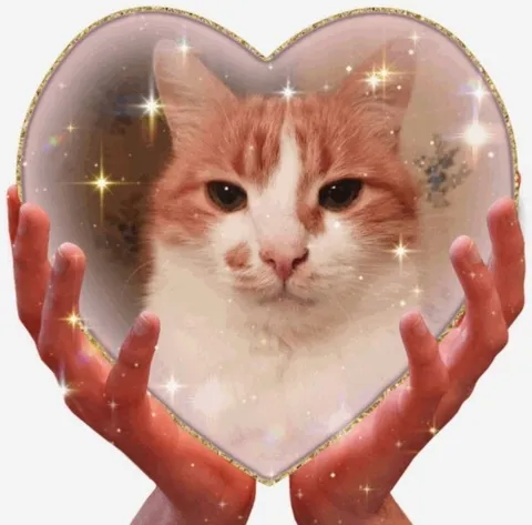 Котик в хрустальном сердце
