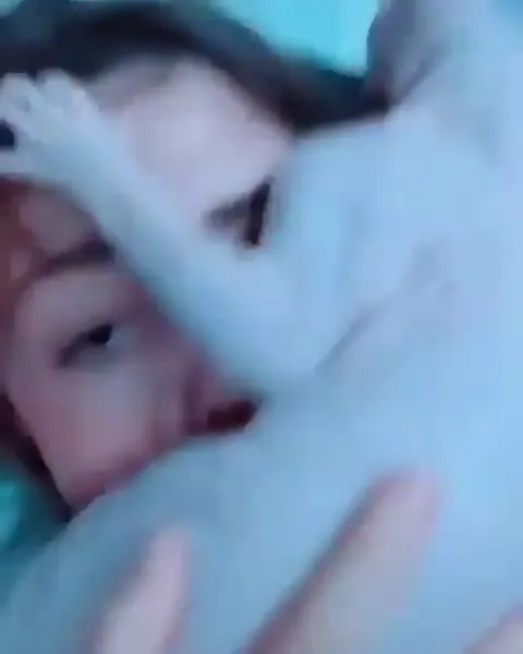 Кот не отпускает хозяйку