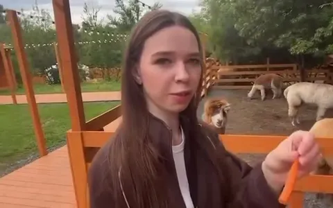 Девушка кормит альпак