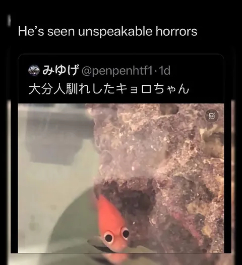 Unthinkable Horrors Seen
