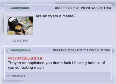 Are Air Fryers a Meme?