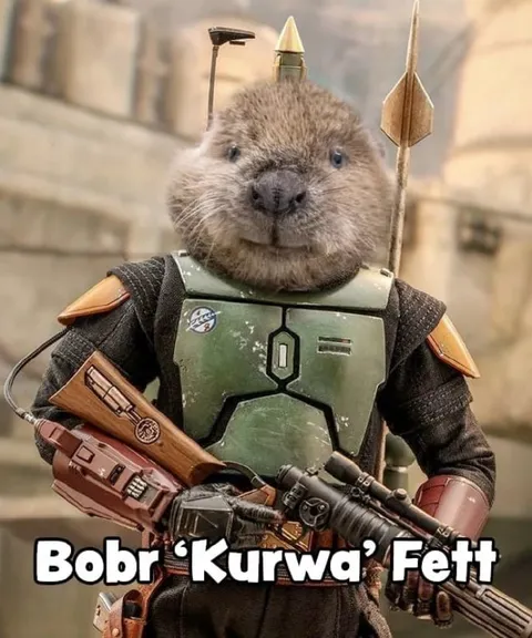 Bóbr ‘Kurwą’ Fett