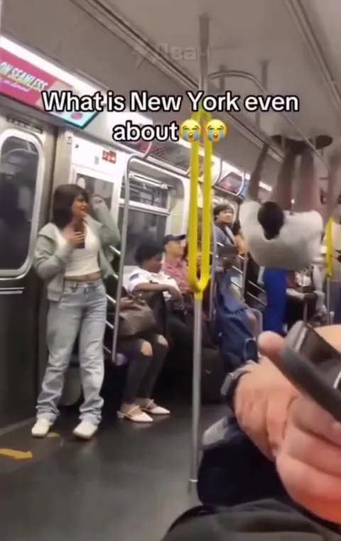 What Is New York Even About